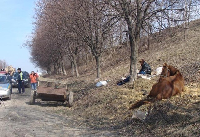 Фото пресс-службы УГАИ в Винницкой области