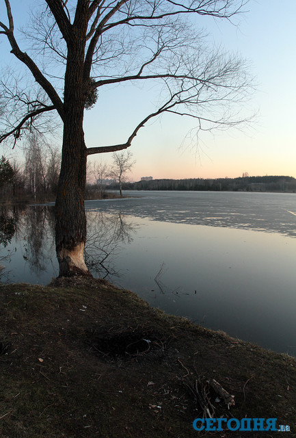 Озеро "Министерское". Фото Юрия Кузнецова