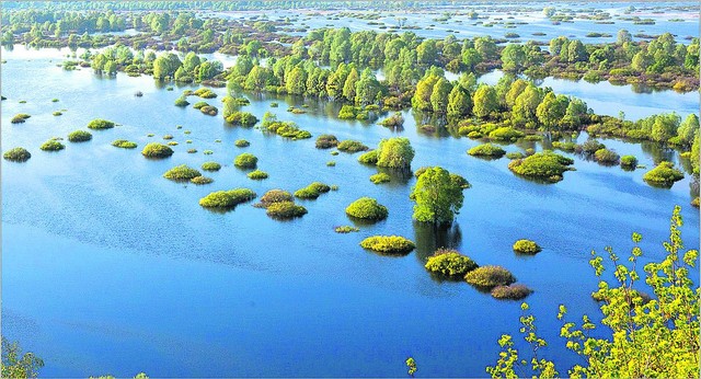 Разлив Десны возле Новгород-Сиверского.