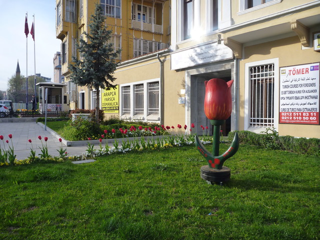 тюльпаны в Стамбуле не только настоящие