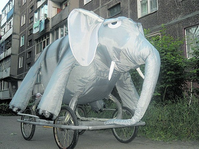 Задача — запустить слона. Фото: М. Кривицкий