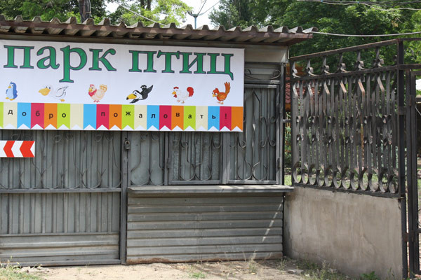 Вход в Парк птиц будет стоить всего 10 гривен. Фото: vp.donetsk.ua
