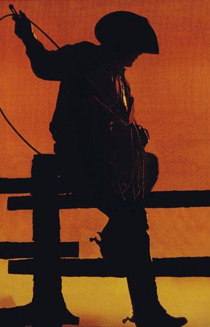 Без названия (Ковбой) (2001-02), Ричард Принс — 3,4 млн. $