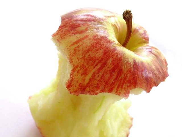 Огрызок от яблока – 2 месяца. Фото wallpapers-hq.ru