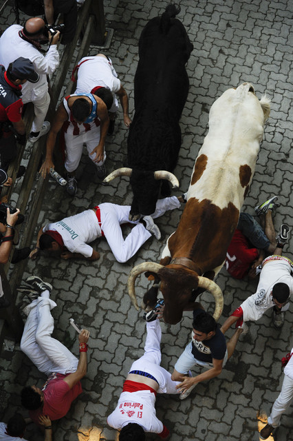 Четыре человека получили ранения во время забега быков в Испании, фото AFP
