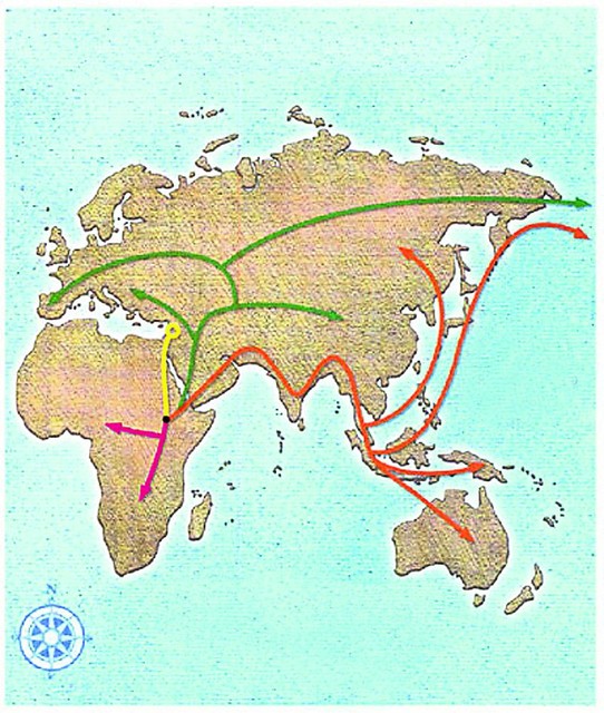 Освоение мира. Карта показывает, как человек заселял континенты