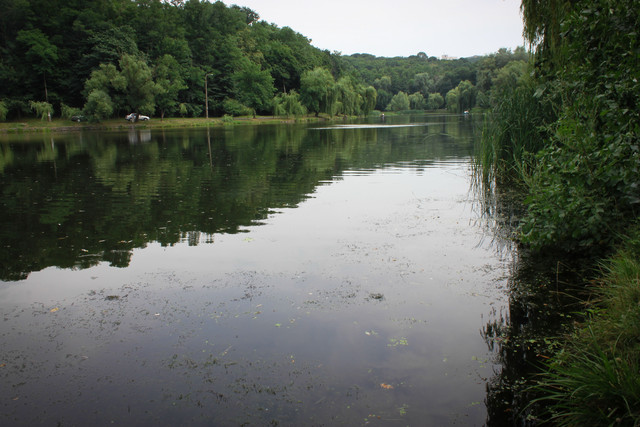 Озеро в Голосеевском парке. Фото: А.Темченко