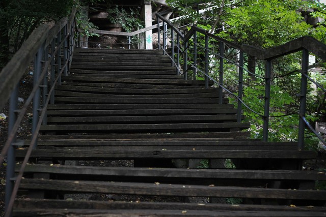 Лестница с Пейзажной аллеи. Фото: А.Темченко