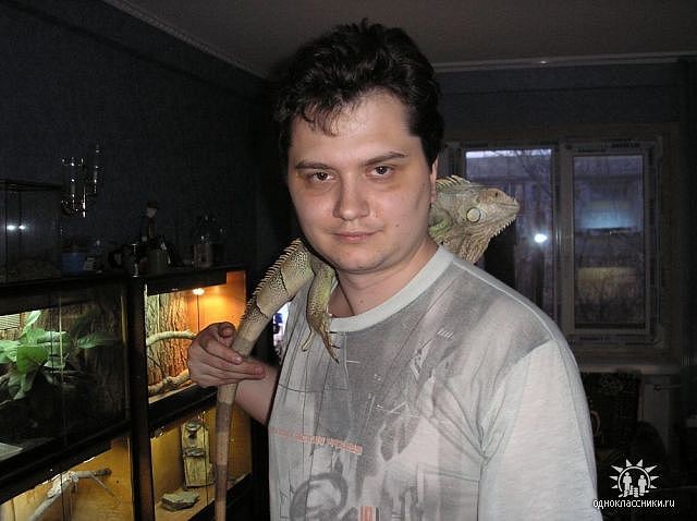 Зубастые любимцы. Геннадий Бершак разводит рептилий уже 16 лет