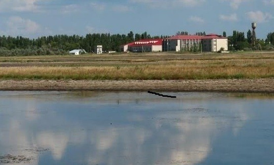 У Тилигульского лимана. Лагерь расположен на берегу водойма. Фото: dobro.inf.ua