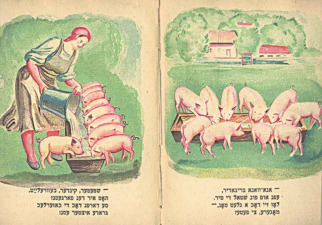 Еврейские свиноводы. Как-то вызвали на соревнование колхозников-казаков и показали им класс в скачках на лошадях
