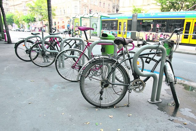 Два колеса лучше четырех. Для велосипедистов в городе везде есть специальные дорожки и парковки  | Фото: Сергей Николаев