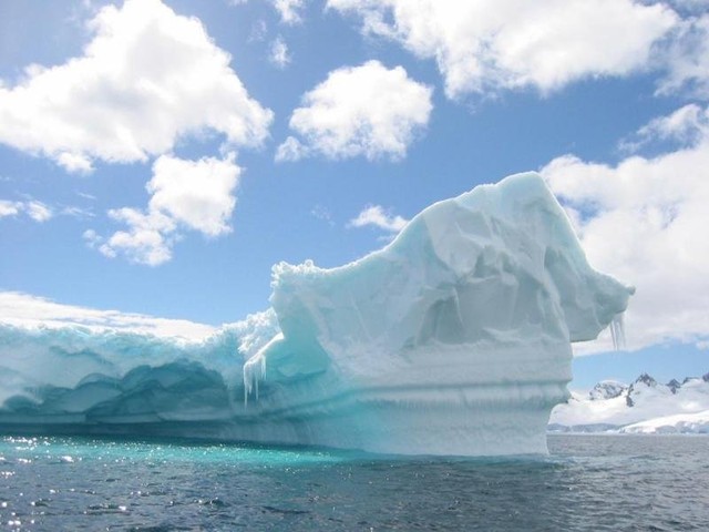 Северный и Южный полюса. Глобальное потепление угрожает вымиранием 80% императорских пингвинов Антарктиды. В Арктике же уничтожение грозит белым медведям, потому что вместе с таянием полярных льдов гибнут целые экосистемы, включая пищевые цепочки. Новые массивы льда перестанут формироваться в Антарктиде в течение 20-40 лет.