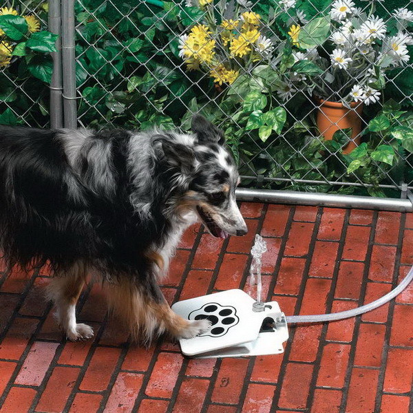 Фонтан-поилка<br /><br />
WaterDog, конечно, хорошо, но API Doggie Fountain F-1 лучше. Во-первых, такая поилка помогает экономить воду, во-вторых, развивает сообразительность питомца, ну а в-третьих, это очень оригинальная идея.