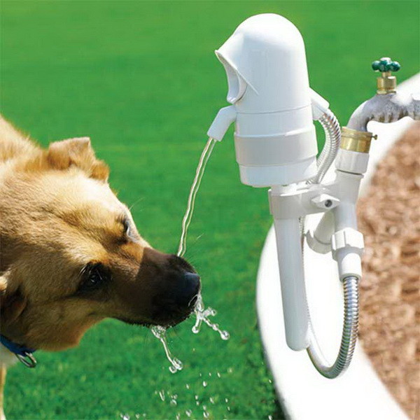 Автоматическая поилка<br /><br />
Автоматическая поилка WaterDog восполнит водный баланс собаки.