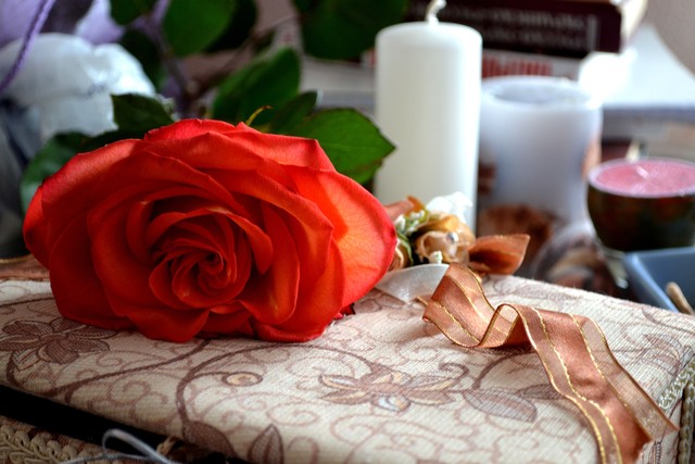 Красота. Свежесрезанная роза в достойном ее совершенства романтическом антураже