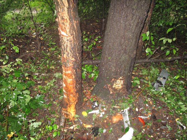 Под Киевом ЗАЗ врезался в деревья, погибшего водителя нашли через сутки