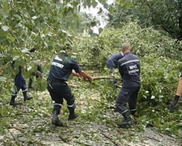 Спасателям пришлось потрудиться, расчищая дороги и крыши жилых домов от поваленных деревьев, фото vinnitsaok.com.ua