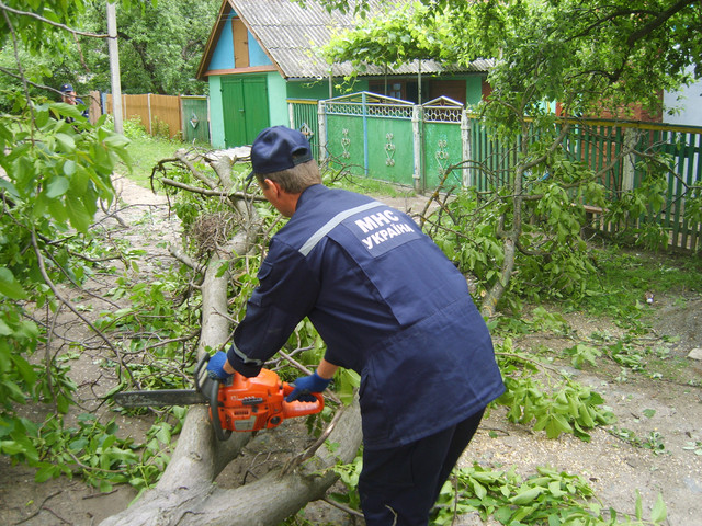 Спасателям пришлось потрудиться, расчищая дороги и крыши жилых домов от поваленных деревьев, фото mns.gov.ua