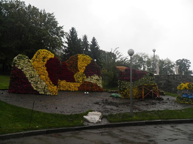 В субботу открывается первая вертикальная выставка цветов. Фото: Киевзеленстрой