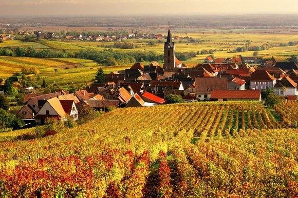 6. Бургундия, Франция<br /><br />
Осень в винодельческой Бургундии – самая горячая пора: в сентябре начинается сбор винограда, а в третий четверг ноября молодое вино из него пьют на празднике Божоле Нуво.