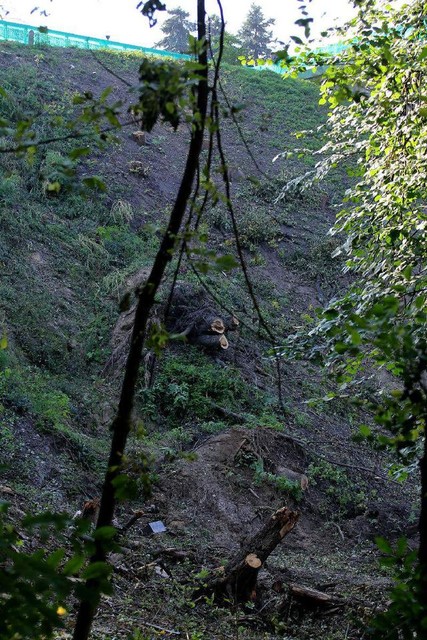Возле вертолетной площадки на склоне Днепра вырубили все деревья. Фото: НБН