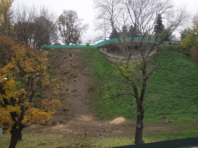 Вместо деревьев, киевский склон будет укреплять лестница. Фото: Оксана Гришина