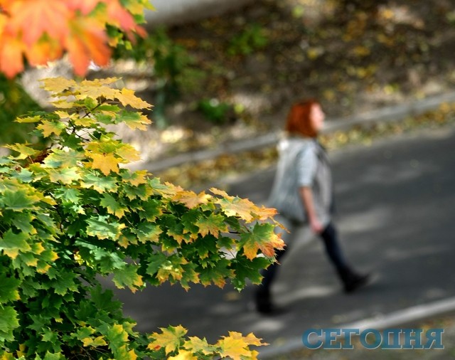 В Киеве – удивительно красивая осень | Фото: Александр Яремчук