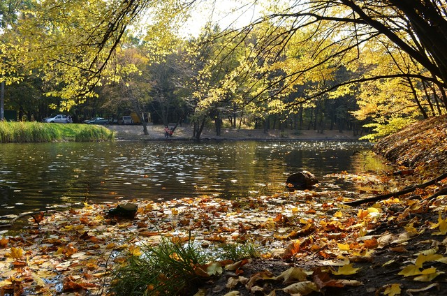 Осенний парк им. М.Рыльского. Фото: Наташа Колисниченко