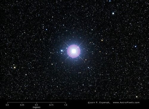 7.Процион<br />
Процио́н — самая яркая звезда в созвездии Малого Пса и одна из ярчайших звёзд в ночном небе. Процион  —  одна из ближайших к Земле звёзд, удаленная от солнечной системы на 11  световых года. Подобно Сириусу, Процион является двойной звездой. Основная звезда — Процион A, тусклый компонент (белый карлик) — Процион B. Процион является одной из вершин Зимнего треугольника. В астрологии Процион является символом богатства, славы и удачи. В произведениях Ларри Нивена Процион упоминается как звезда, вокруг которой вращается планета с человеческой колонией.<br />
