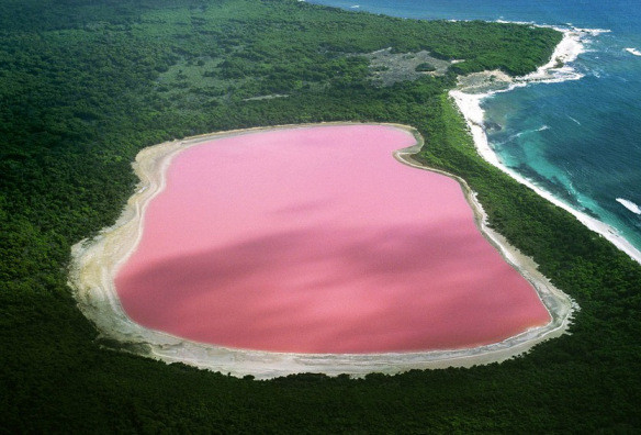 6. Озеро Хиллер на западе Австралии<br />
Хиллер — озеро на юго-западе Австралии, примечательное своим розовым цветом. Озеро по краям окружено песком и эвкалиптовым лесом. Предполагалось, что причина розового цвета воды заключается в солёности и специфических микроорганизмах, обитающих в озере. Тесты, проведенные в 1950 году, не подтвердили данных предположений. В последующие годы было проведено несколько исследований, но загадка озера Хиллер так и осталась неразгаданной. Для туристов озеро Хиллер – не самый удобный объект. Из-за отсутствия водной навигации в этом районе наиболее удобным способом добраться туда является воздушный транспорт.<br />

