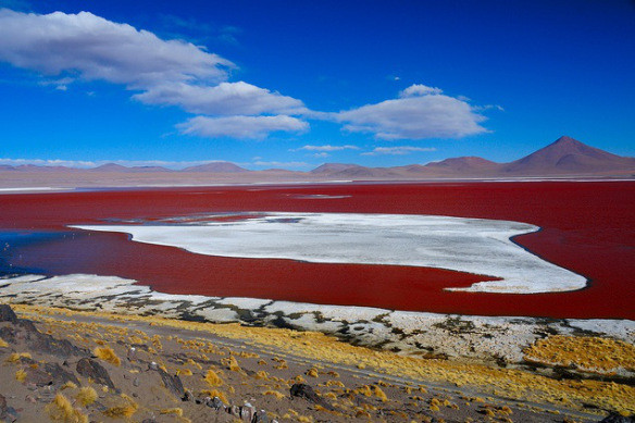 9. Озеро  Лагуна-Колорадо в Боливии<br />
Лагуна-Колорадо— минеральное озеро, расположенное в национальном заповеднике Эдуардо Авароа в юго-западной части Боливии недалеко от границы с Чили. Красно-бурый цвет воды обусловлен осадочными породами, а также пигментацией некоторых произрастающих там водорослей. Также в озере можно обнаружить островки из буры. В районе лагуны обитает большое количество фламинго. Также здесь можно встретить андского и чилийского фламинго, но в небольших количествах.