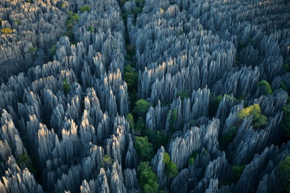 6. Каменный лес в Китае<br />
Каменный лес расположен в 126 километрах к юго-востоку от Куньмина в Китае, и покрывает площадь в 350 квадратных километров. Из-за многовековой эрозии и вымывания морскими водами в морском дне выросли сотни каменных столбов, ущелий и трещин. По мнению ученых, каменный лес образовался более 200 миллионов лет назад. Согласно легенде, каменный лес появился благодаря богатырю-великану, который очень хотел построить плотину для своего народа.  Ночью он стал передвигать огромные камни с помощью инструментов, украденных у местного волшебника. Но когда взошло солнце, магическая сила инструментов пропала, а камни так и остались лежать, разбросаны по всей долине.