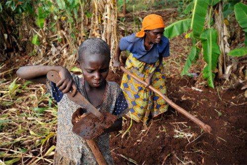4.Бурунди<br />
Бурунди — небольшое государство в Восточной Африке, одна из самых бедных стран  в мире. Свыше половины населения страны живёт ниже черты бедности. Около 50 % территории используется под пашню, 36 % — под пастбища, остальную площадь занимают преимущественно леса и непригодные земли. В сельском хозяйстве занято более 90 % всего трудоспособного населения страны.  Страна зависит от международной экономической помощи и потому имеет большую внешнюю задолженность. ВВП на душу населения в 2013 году — 410 долларов.<br />
