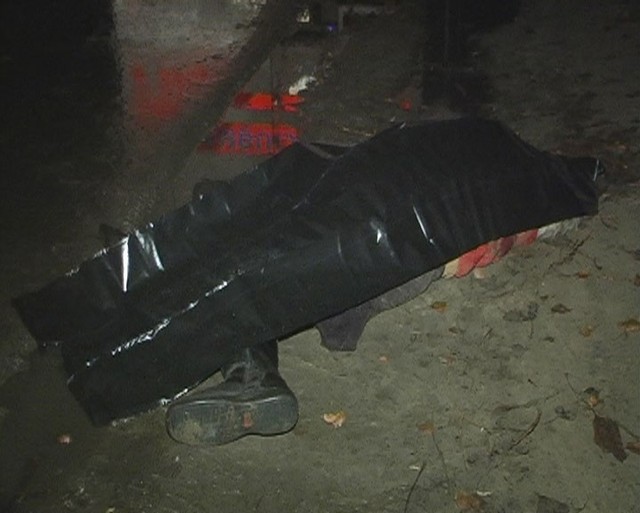 На дачном массиве в Киеве машина насмерть сбила бабушку. Фото: Магнолия-ТВ