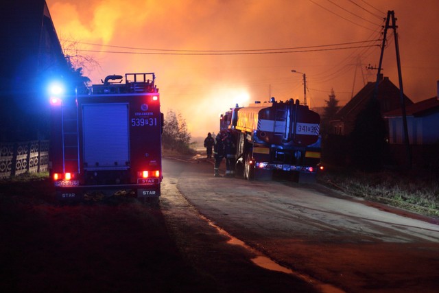 Мощный взрыв на газопроводе в Польше сжег деревню и лес кругом, фото AFP