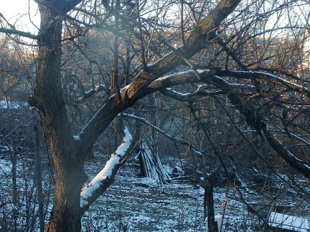 В Бровары пришла зима. Фото: Людмила Князьская-Ханова