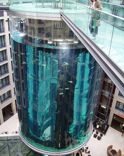 4. Аквадом в Берлине<br />
AquaDom в Берлине — это самый большой в мире цилиндрический аквариум с солёной водой, расположенный в CityQuartier DomAquarеe в берлинском районе Митте. Емкость аквариума выполнена из акрилового стекла, её высота составляет 16 м, а диаметр — 11,5 м. Она опирается на девятиметровый бетонный фундамент. В целом высота конструкции составляет 25 м. Вес конструкции составляет 2000 тонн. Объём аквариума составляет 1 млн. литров солёной воды. При помощи двухэтажного лифта посетители имеют возможность заглянуть во внутреннюю часть аквариума, где живёт примерно 1500 рыб, 97 видов. AquaDom был открыт  в декабре 2003 года. Проектирование и строительство аквариума взяла на себя американская компания 