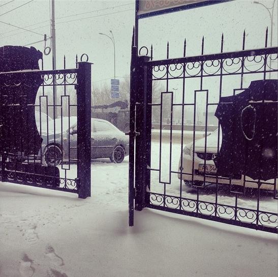 Жители выкладывают в Instagram фото заснеженного Киева. Фото: kassilukraine