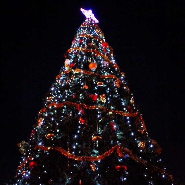 Такая елка украсила Троещину. Фото: instagram/olgakostyanec