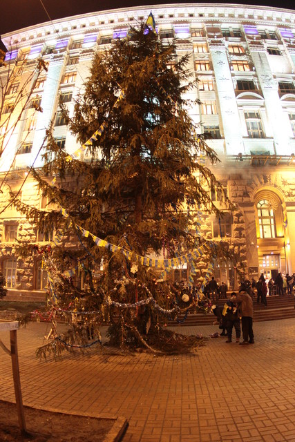 Под зданием КГГА митингующие установили живую елку. Фото: Юрий Кузнецов, "Сегодня"