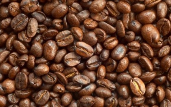 Кофейная зависимость<br />
В кофе содержание кофеина составляет до 1500 мг/л. Пуриновые алкалоиды (кофеин, теобромин и теофиллин) при систематическом употреблении их на уровне 1000 мг в день вызывают у человека постоянную потребность в них, напоминающую алкогольную зависимость.