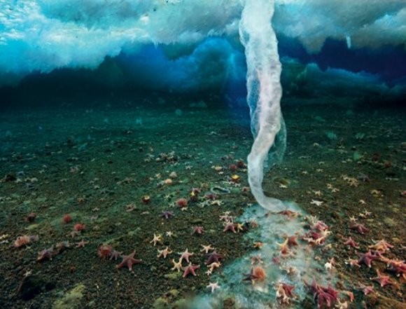Брайникл – смертоносная сосулька<br />
Моментально убивающая все живое на дне океана сосулька – явление редкое и удивительное. Это яркий океанический феномен носит название 
