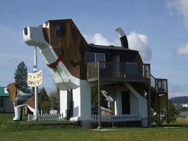 Отель Dog Bark Park Inn в США<br />
С 2003 года в городке Коттонвуд (штат Айдахо) открыт отель Dog Bark Park Inn — одна из самых необычных гостиниц Америки. Снаружи этот образец нестандартной архитектуры выглядит как большая деревянная статуя собаки породы бигль. Создатели отеля даже придумали 