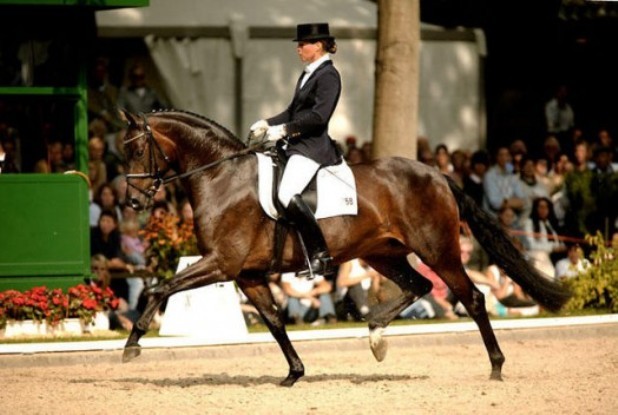 Лошадь Poetin<br />
Poetin был жеребцом мирового класса среди выездки. В 2003 году он выиграл чемпионат в Германии. Продан тогда за рекордную сумму на аукционе PSI за 3,3 миллионов долларов.<br />
