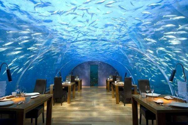 Подводный ресторан  <br />
Мальдивы – одно из самых популярных мест для туризма в мире, именно поэтому американская компания Hilton Worldwide, владеющая огромной сетью отелей по всему миру, избрала один из островов  "Rangali" местом для первого в мире подводного ресторана. Строительство этого уникального сооружения началось в мае 2004 года, а 15 апреля 2005 года состоялось открытие ресторана, получившего название "Ithaa" (жемчужина). Прозрачная крыша находится на глубине 5 метров ниже уровня моря и позволяет посетителям ресторана наблюдать за жизнью морских обитателей в диапазоне 270 градусов, находясь прямо за ресторанным столиком. Для того, чтобы выдержать давление толщи воды, в качестве материала для конструкции прозрачного купола было выбрано акриловое стекло, которое гораздо прочнее и легче обычного стекла. Именно из акрилового стекла был построен, например, крупнейший в мире аквариум, находящийся в столице Малайзии Куала-Лумпуре. Ресторан "Ithaa" может единовременно вместить только 14 человек, поэтому, чтобы попасть внутрь, столик нужно будет забронировать заранее.  обед на двоих обойдется примерно в 120 долларов.<br />
