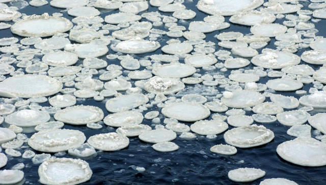 Ледяные круги<br />
Изредка в природе можно увидеть любопытное явление – ледяные круги. Они появляются в реках с медленным течением и представляют собой идеально ровные, неспешно вращающиеся круги изо льда. Такие круги образуются благодаря вихревому течению, возникающему в реке. Попавший в такое течение кусок ледяного покрова начинает вращаться. Во время вращения края этого куска стачиваются об окружающий его лед, и вскоре может получиться ровный круг. Наиболее часто это явление наблюдается в Скандинавии и Северной Америке, но также его видели в Германии, Англии и России. Впервые ледяные круги зафиксировали в 1895 году на американской реке Мианус.<br />
