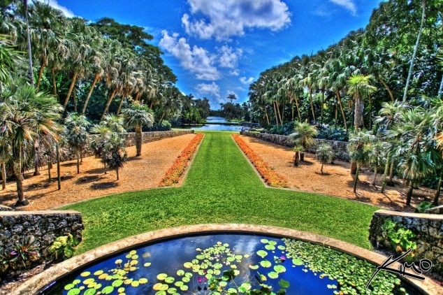 Тропический Ботанический сад  Fairchild<br />
Тропический ботанический сад Fairchild в Майами – один из наибольших в США ботанических садов, настоящий оазис с великолепной коллекцией редких тропических растений и одна самых популярных и посещаемых туристами и местными жителями достопримечательностей Майами. Сад  Fairchild – это 33 гектара искусственно созданных ландшафтов, на которых разместилось уникальное собрание тропической и субтропической флоры. В нем произрастает свыше 4500 тропических деревьев и кустарников, в том числе около 500 видов пальм. Территория ботанического сада рассечена 14-ю озерами на систему из отдельных островков, на каждом из которых обитает отдельный биологический ареал. Основателями уникального собрания  тропическо-субтропической  флоры,  в 1938 году  стали профессор-ботаник Дэвид  Фэйрчайлд  и бизнесмен полковник Роберт Монтгомери, частный коллекционер и любитель тропических растений. Дэвид  Фэйрчайлд  был одним из величайших естествоиспытателей в истории Нового Света. 37 лет он посвятил поездкам по всему миру в поисках новых видов, которые были бы экономически полезны и интересны США. Именно им были ввезены в США многие сорта манго, вишен и бамбука; финики, хрен и многие другие полезные культуры.<br />
