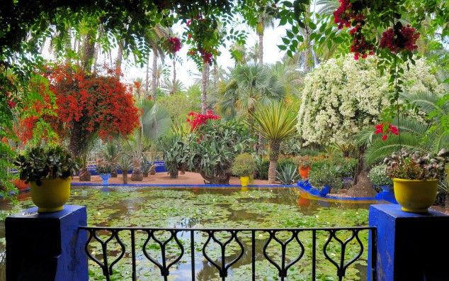 Сад Мажорель<br />
Этот сад был студией художника Жака Мажореля, который переехал жить в Марокко в 1919 году, для того, чтоб продолжить карьеру и вылечить туберкулез. Территорию, на которой сейчас расположен сад, художник приобрел в 1924 году и обосновал здесь свою студию. Мажорель, как и Клод Моне, был увлечен коллекционированием растений, финансировал ботанические экспедиции, поддерживал деловые отношения с ботаниками всего мира, обменивался с ними редкими экземплярами. Из своих поездок он привозил североамериканские и мексиканские кактусы, азиатские лотосы, необыкновенные растения из Южной Африки. После смерти Жака Мажореля в 1962 году, сад некоторое время был заброшен, а дом шел под снос. Но известный французский дизайнер Ив Сен-Лоран и его друг Пьер Берже в 1980 году выкупили территорию сада и взяли на себя заботу о его восстановлении и поддержании. Было потрачено немало сил и средств и на восстановление дома. Старая студия художника была переделана под небольшой музей исламского искусства. Сейчас здесь можно видеть акварели Мажореля, посвященные природе и ландшафтам южного Марокко. Также здесь находятся частные коллекции модельера  Ив Сен-Лорана.<br />
