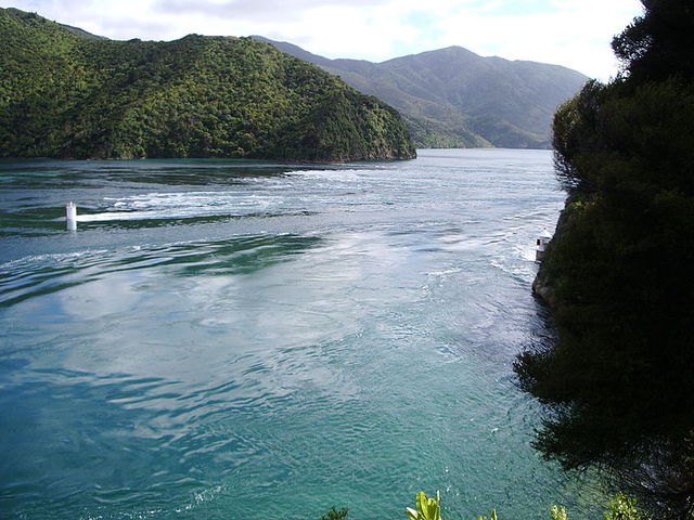 Пролив Френч-Пасс <br />
Френч-Пасс — узкий и опасный пролив, разделяющий новозеландские острова Д’Юрвиль и Южный. На западе пролив выходит в залив Тасман, на востоке — в пролив Кука. Пролив Френч-Пасс знаменит своими самыми быстрыми в Новой Зеландии приливно-отливными течениями, достигающими 8 узлов (4 м/с). В момент смены направления течения сила его такова, что может оглушить рыбу. Ширина пролива составляет 500 м, однако навигационный фарватер имеет ширину всего 100 м.  В связи с тем, что в проливе Кука разница между высшей и низшей точками прилива и отлива достигает 2 м, а в заливе Тасман — 4 м, в проливе возникают перепады давления, вызывающие мощные кратковременные течения (разница во времени между достижениями крайних точек уровня воды на концах пролива может достигать 25 минут) — до 4 м/с в навигационном фарватере. В районе пролива имеются вертикальные ямы (до 100 м глубиной), в которых могут возникать вертикальные течения.<br />
